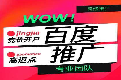 百度竞价公司案例分析：如何利用百度大数据